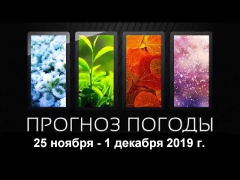 Погода. 25.11.19 - 1.12.19