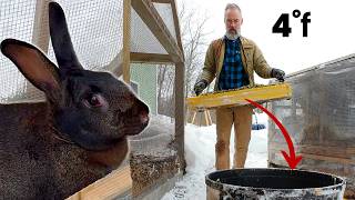 Winter Chores at Wineberry Hill: Manure, Mushrooms, Mealworms