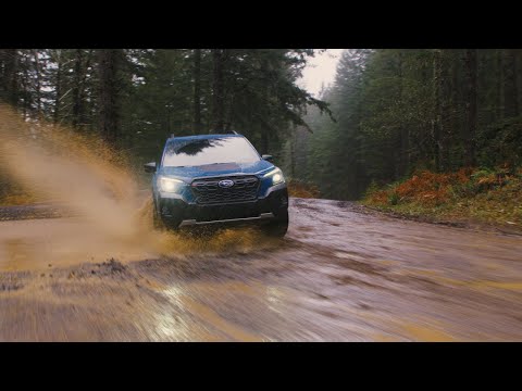 The all-new 2022 Subaru Forester Wilderness