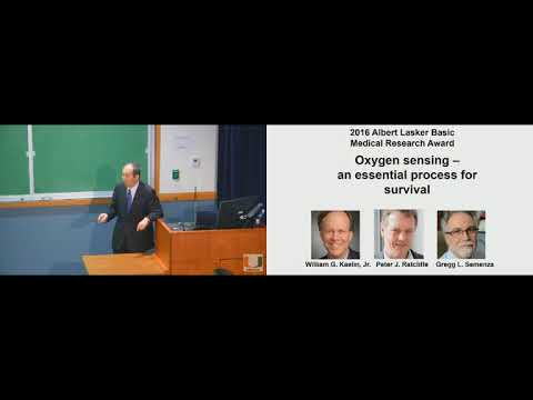 Grand Rounds 2017.11.08