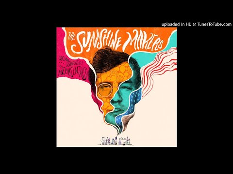 The Heliocentrics - The History of LSD