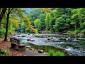 Beautiful Relaxing Music Stop Overthinking Stress Relief Music Sleep Music