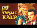 YARALI KALP 4K RESTORASYONLU Filiz Akın Ediz Hun Metin Serezli