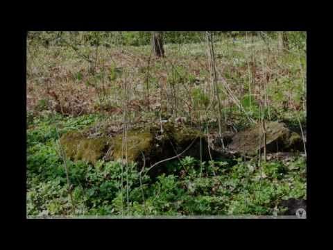 Wołczyn wczoraj i dziś. Część IV