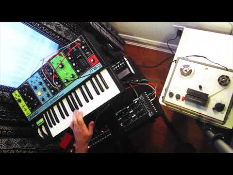 Moogosphere - Moog Werkstatt-01 & Grandmother Berlin School