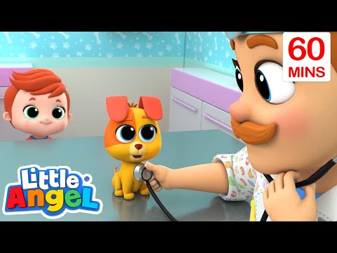 Meet Bingo: The Adorable Pup Finding Love and Home Sweet Home! | Moonbug Kids - Cartoons & Toys