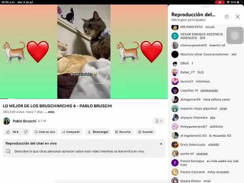 LO MEJOR DE LOS BRUSCHIMICHIS 4 - GUISANTRALLADORA306