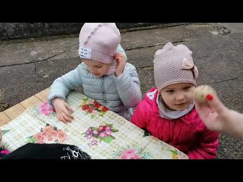 "Rieda Velykų margučiai"