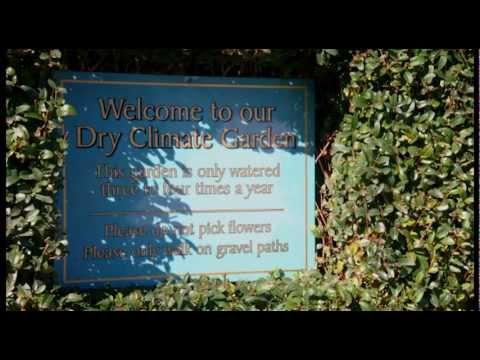 Lambley Nursery and Gardens
