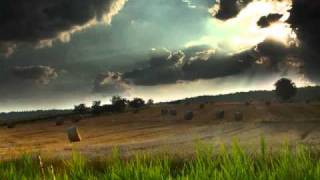 Salmonella dub -Dub survivor