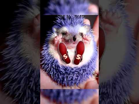 ASI SE VERIAN LOS PERSONAJES DE SONIC🦔 EN LA VIDA REAL😨 #shorts #youtubeshorts