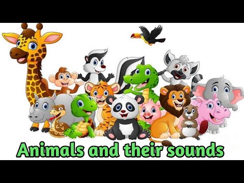 Learn Animals and their sounds for kids || animals and their cries || #soundofanimals