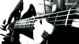 Bass Cover: The Sisters Of Mercy - Lucretia
