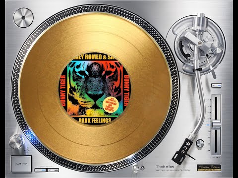 ALEXEY ROMEO & SAVIN - DARK FEELINGS (GIORGIO BRINDESI REMIX) (℗2023 / ©2024)