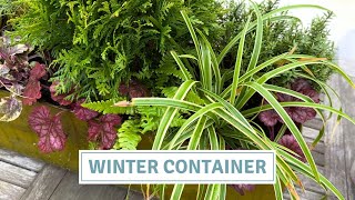 Plant A Colourful Winter Container With Me // Cottoverdi