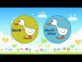 Duck TV A Duck TV Plus Promo