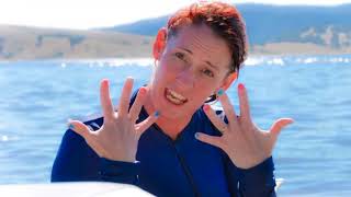 Twenty Four Years of..Stuff