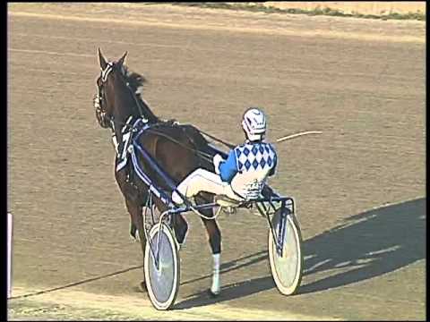 Trotto 05/11/2015 - 3° corsa