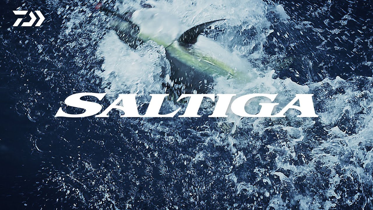 Daiwa 25 Saltiga (G) Spin Reel video thumbnail