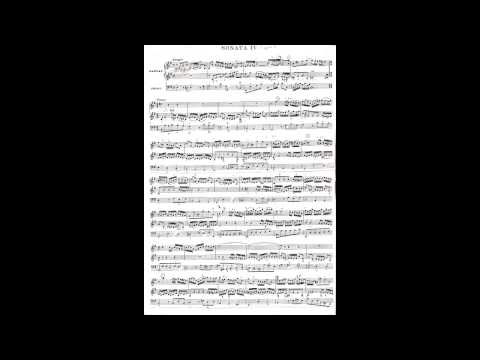 J.S. Bach: Sonata in e minor BWV 528, first movement - Willem Tanke, organ  (