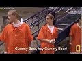 Prison Life First Time In Prison Newbies Prisoners
