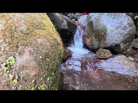 3 Hours of Relaxing River Sounds for Sleep