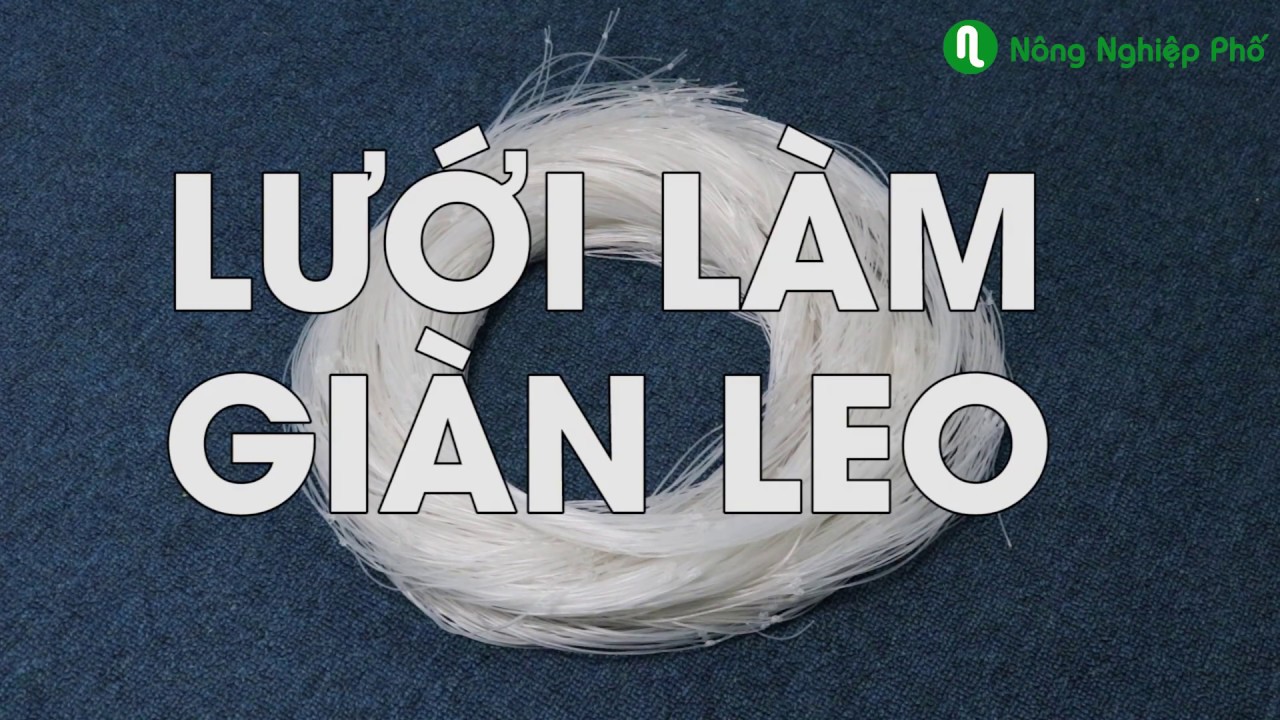 Lưới làm giàn leo (1m)