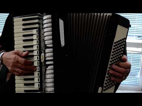 German Made Top Piano Accordion Weltmeister Elegance - 96 bass, 16 reg. + Original Hard Case & Straps - Youtube VIDEOS image 22