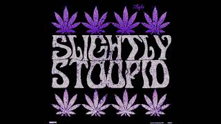 Slightly Stoopid - Just Thinking (ft. Chali 2na) [Purpled by 7Right]