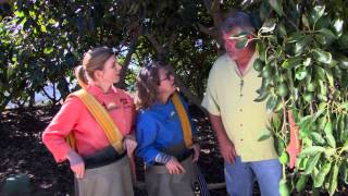 Mary Sue Milliken and Susan Feniger Tour a California Avocado Grove