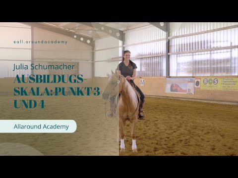 Western Riding Training Scale: Compliance and Hindquarter Activity