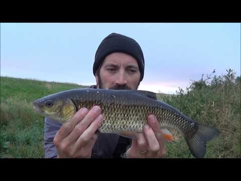 Chub Fishing with Floating Bread , July 2018