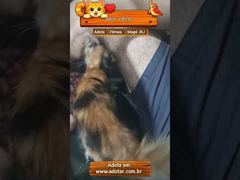 Vídeo de sem nome