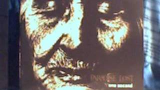 paradise lost - this cold life