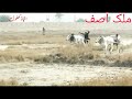 New Bail Race DG Khan 15 March 2023 Asif Bhabha Vs Ijaz Khalol