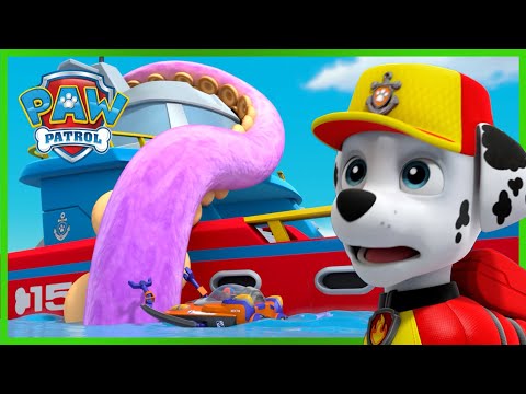 Sea Patroller Rescues! | PAW Patrol | Cartoons for Kids Compilation