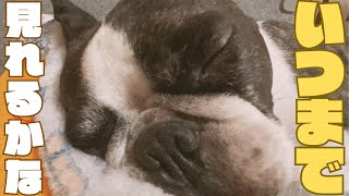 今日は一段と眠い😪