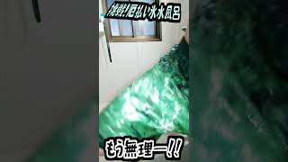 年末の挑戦！厄払い塩水氷風呂！#shorts