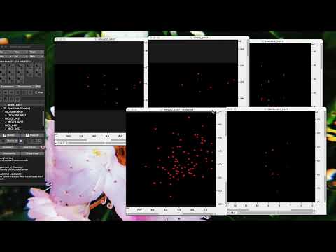 SIM-PRAC Practice Dataset thumbnail