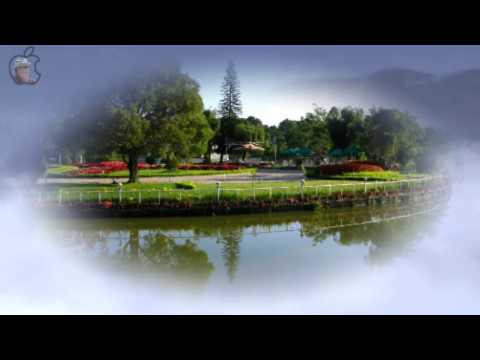 ĐÀ LẠT HOÀNG HÔN