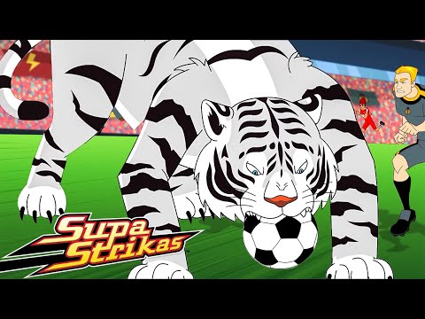 Can a Tiger Play Soccer? | Supa Strikas - Sports & Games Cartoons for Kids
