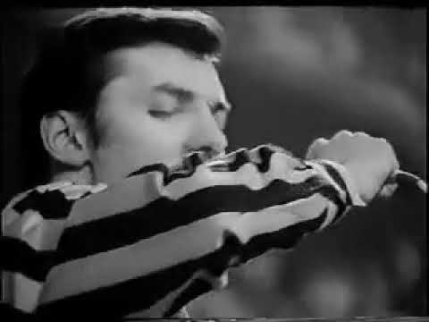 Karel Gott - It takes a worried man