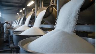 Você não imagina como o AÇÚCAR é feito - Processo Industrial Completo