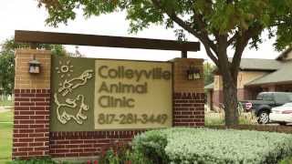 preview picture of video 'Colleyville Animal Clinic - Short | Colleyville, TX'