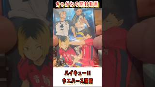 【開封動画】きゃがわの開封動画「ハイキュー!!ウエハース開封」#開封動画 #ハイキュー #ウエハース