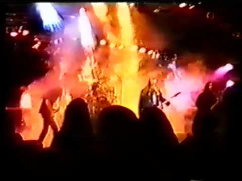 Paramaecium - Approaching the Forest