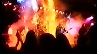 Paramaecium - Approaching the Forest