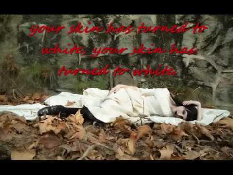 CAT STEVENS    MY LADY D' ARBANVILLE