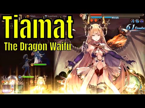 Tales of Erin: Tiamat Level 100 Character Profile