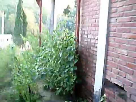 Juego en serranias de zapla, Palpala - Jujuy el 2 de Mayo